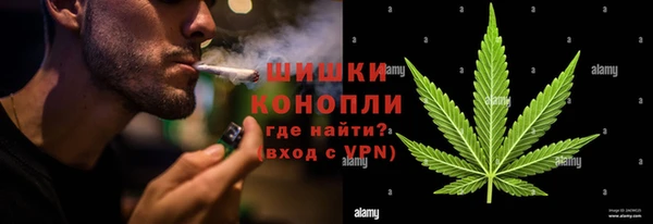 шишки Абинск