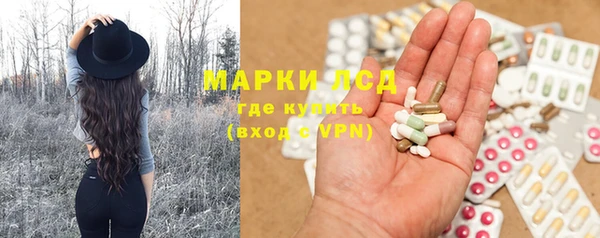 шишки Абинск